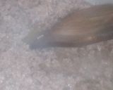 A picture of step 2 of Bhuna QeemA.