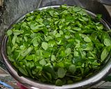 Foto langkah ke 1 dari resep Urap Daun Kelor Khas Bali.