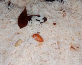 A picture of step 13 of Murgh Mussallim.