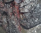 Foto del paso 1 de la receta: Carne de cerdo en salsa de chile pasilla con papa