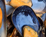 Foto del paso 1 de la receta: Mejillones con crema de wasabi