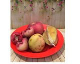 Foto langkah ke 2 dari resep Diet Juice Rose Apple Apple Star Fruit Guava.