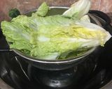 Foto langkah ke 1 dari resep Lowcarb Sugarfree Kimchi #keto #diabeticfriendly.