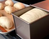 Foto langkah ke 5 dari resep Hokkaido Milk Bread (Roti tawar susu).