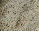 પાનકી (Panki Recipe In Gujarati) રેસીપી સ્ટેપ2ફોટો