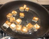 A picture of step 2 of Kashmiri Paneer Yakhni.