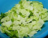 《好菜網》炒大白菜的食譜步驟1照片