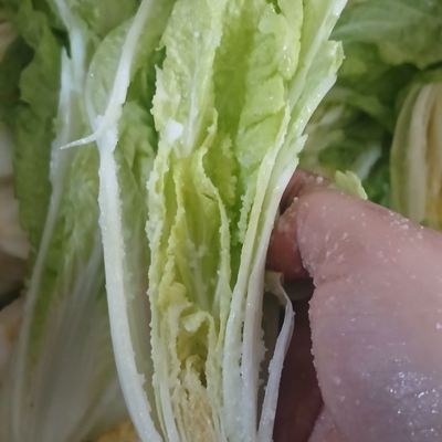 Langkah 3