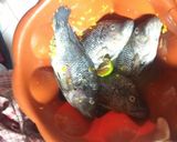 Foto langkah ke 3 dari resep Ikan Goreng (Mudah,Pasti Enak).