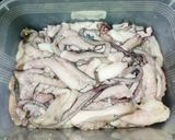 Foto langkah ke 3 dari resep Rica-Rica Gurita Enak Parah🐙.