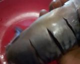 A picture of step 2 of Grille Titus fish.