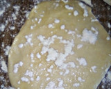 Samosamatakin girki4 hoto