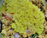 எளிமையான வரகு சாம்பார் சாதம் (varagu sambar sadam recipe in tamil) ரெசிபி ஸ்டேப் 5 புகைப்படம்