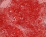 A picture of step 3 of Water melon sharbat.