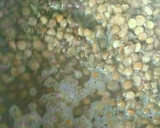 Foto del paso 1 de la receta: Guiso de lentejas