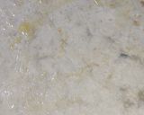 A picture of step 13 of Chicken Frankie Roll.