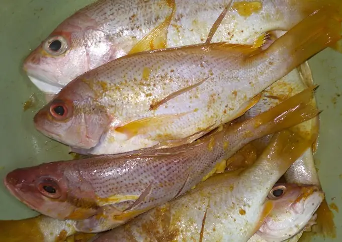 Langkah-langkah untuk membuat Cara membuat Ikan Kurisi goreng rumahan