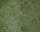 Foto del paso 3 de la receta: Salsa verde (o de espinacas)