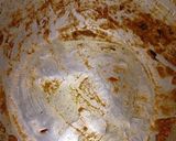 Foto langkah ke 14 dari resep Briyani Daging tanpa Basmati.