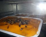 Foto langkah ke 6 dari resep Tuna Mentai Rice.