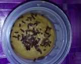 Foto langkah ke 11 dari resep Brownies cappucino simple serba 6 sendok,praktis dan lembut.