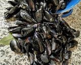 Une image de l'étape 6 de 🦪Moules 🍃cuisine 🪹🍂du sud🍤.