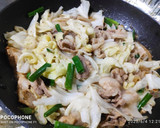 薑燒猪肉炒高麗菜~簡單隨手做的食譜步驟3照片