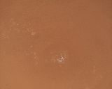Foto del paso 9 de la receta: Tiramisú