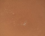 Foto del paso 9 de la receta: Tiramisú
