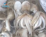 Hình bước làm 2 của món Bạch tuộc nướng muối ớt