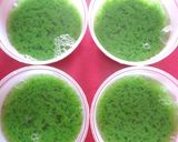 Foto langkah ke 6 dari resep Puding Lumut "ijo royo-royo".