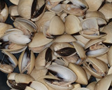 Foto del paso 2 de la receta: Almejas a la marinera Thermomix