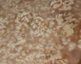 A picture of step 3 of Maggi.