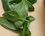 Foto del paso 3 de la receta Lasagna de verduras con calabacín y berenjena