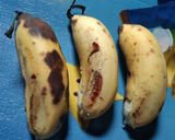 Foto langkah ke 1 dari resep Bolu Pisang Keju Kukus Moist No Mixer.