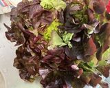 Une image de l'étape 1 de Salade composée au concombre, tomates, feuille de chêne et oignon rouge.