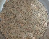 Foto del paso 1 de la receta: Lentejas con arroz en olla a presión eléctrica klauben