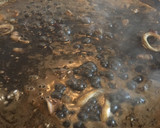 Foto del paso 6 de la receta: Arroz negro del senyoret, ideal para niños 🥰