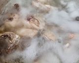 Foto langkah ke 1 dari resep Ayam Ungkep Sambal Matah.
