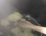 Une image de l'étape 2 de Poulet Cassiatore.