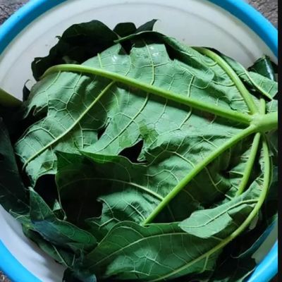 Langkah 1