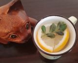 Une image de l'étape 3 de Infusion menthe citron 🌿🍋.