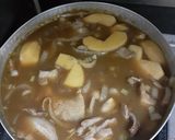 搬家前最後一道的蘋果甜咖哩飯的食譜步驟4照片