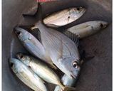 A picture of step 1 of BBQ_FISH_TIKKA.