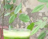 A picture of step 5 of Tropical Glow Green Elixir.