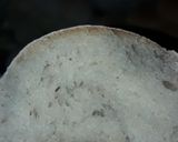 Foto del paso 3 de la receta: Mignon (Miñoncito)