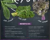 Foto del paso 11 de la receta: Col Kale de mi huerta❤️