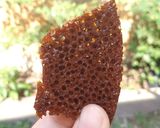 Foto langkah ke 9 dari resep Bolu sarang semut 3 telur.