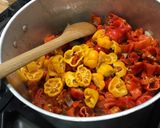 Une image de l'étape 9 de Sauces aux trois piments, coriandre et radis noir.