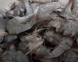 Foto langkah ke 1 dari resep Udang Goreng Saus Mentega.